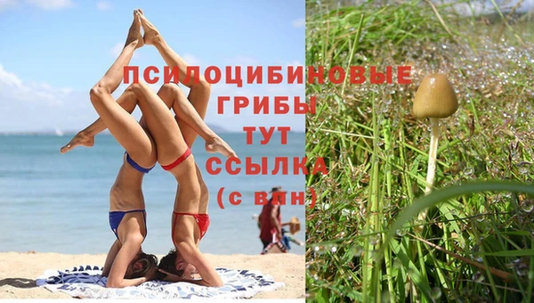 mdma Нея