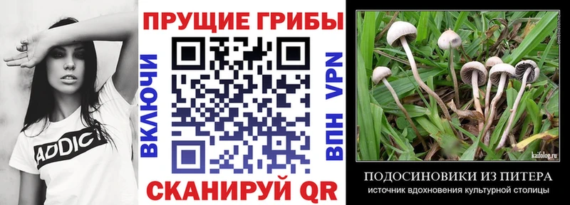Псилоцибиновые грибы Cubensis наркошоп ОМГ ОМГ маркетплейс Агидель
